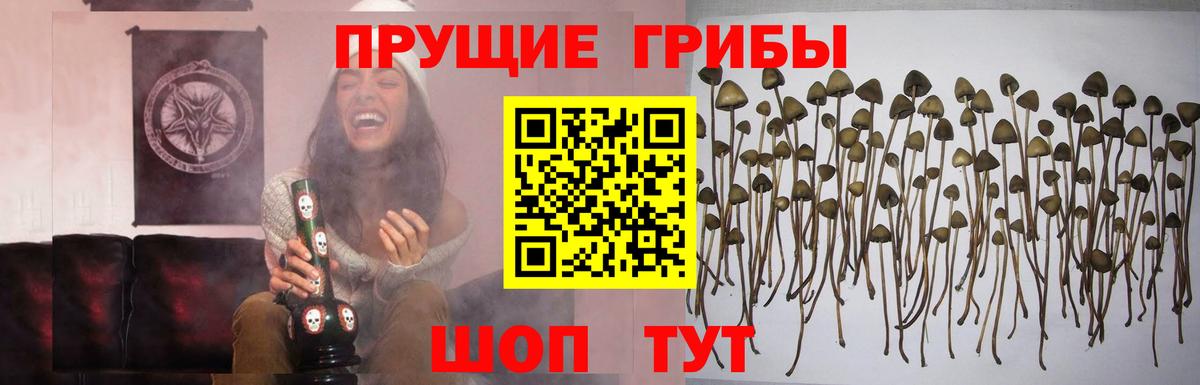 Псилоцибиновые грибы MAGIC MUSHROOMS  Вход с VPN  купить наркотик  Алапаевск 